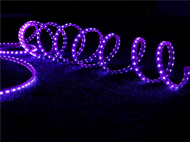 紫色柔性灯带