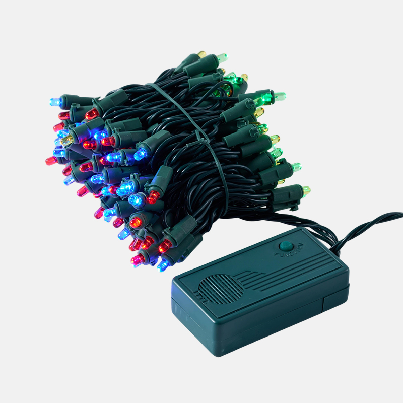 LED 100灯套装（带功能）